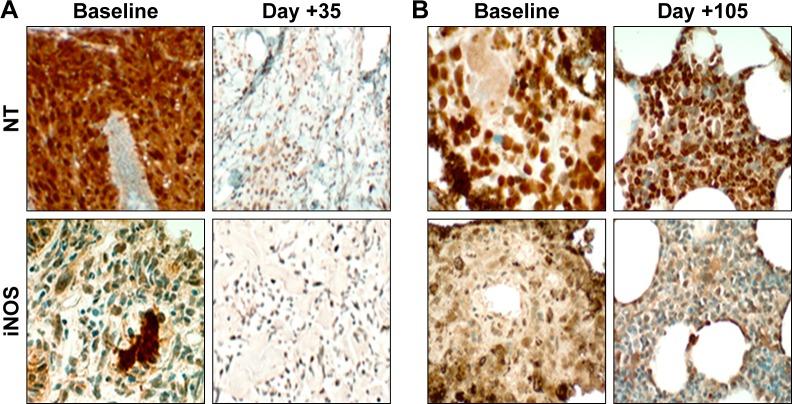 https://cdn.ncbi.nlm.nih.gov/pmc/blobs/833b/5587199/204323507997/ott-10-4239Fig4.jpg