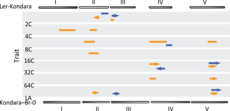 https://cdn.ncbi.nlm.nih.gov/pmc/blobs/833d/4047990/db28940d2fea/exbotj_ert473_f0005.jpg