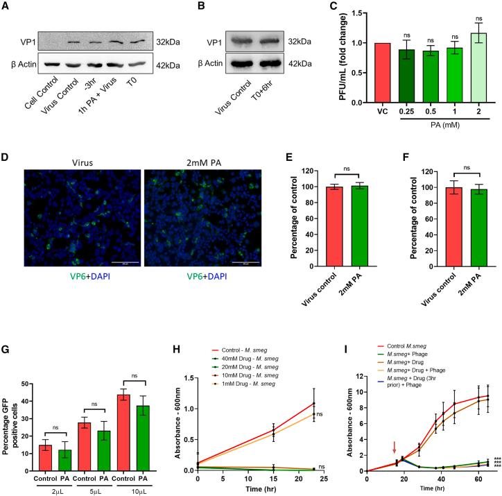 https://cdn.ncbi.nlm.nih.gov/pmc/blobs/833e/10439173/112ef04fbad7/gr4.jpg