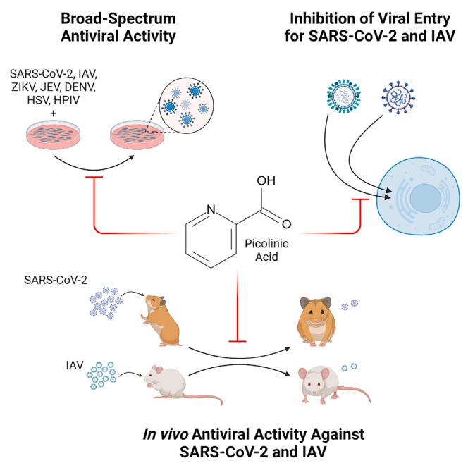 https://cdn.ncbi.nlm.nih.gov/pmc/blobs/833e/10439173/bb69ad1264bb/fx1.jpg