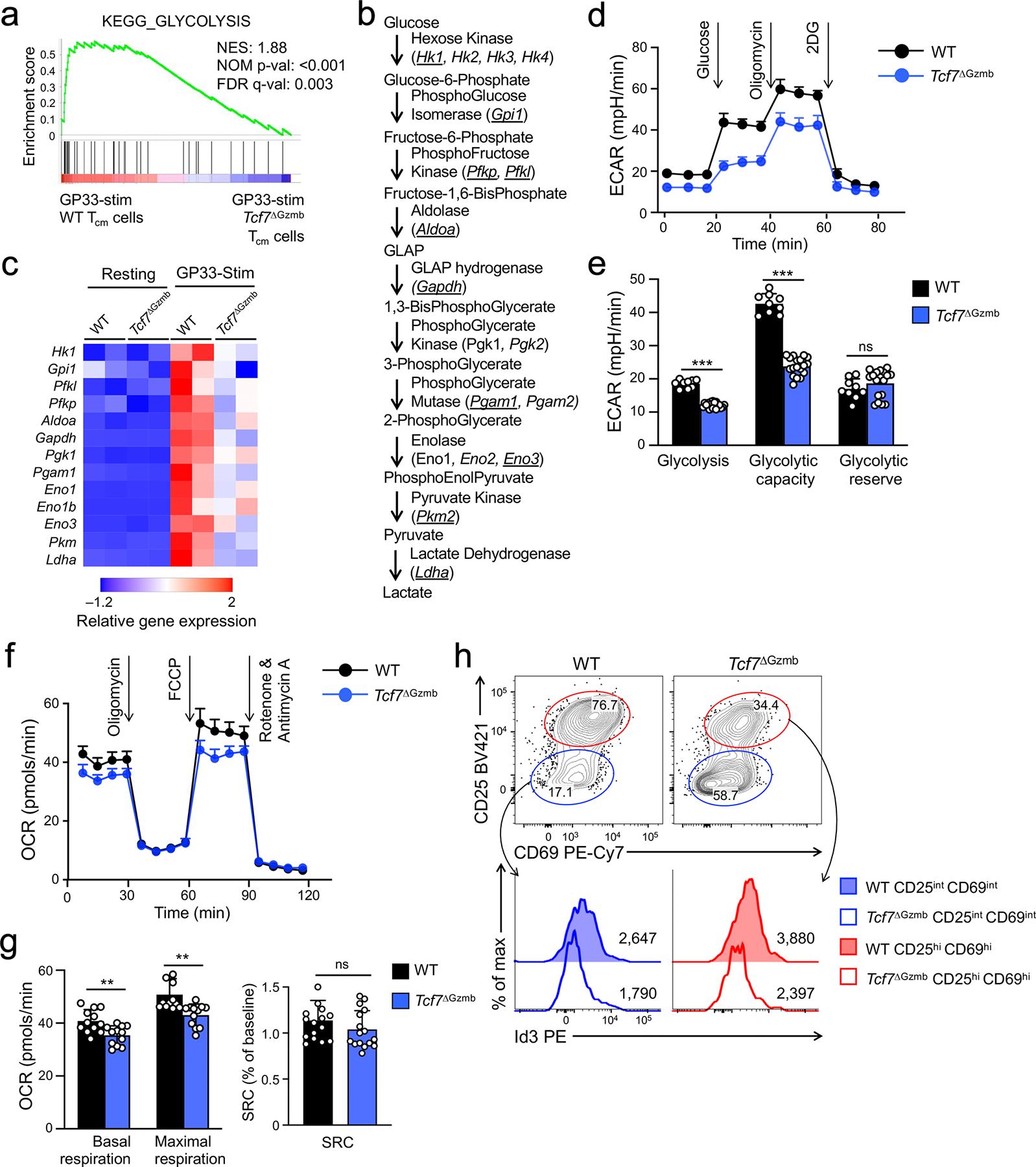 https://cdn.ncbi.nlm.nih.gov/pmc/blobs/833e/8904300/946823b9bda2/nihms-1769922-f0007.jpg