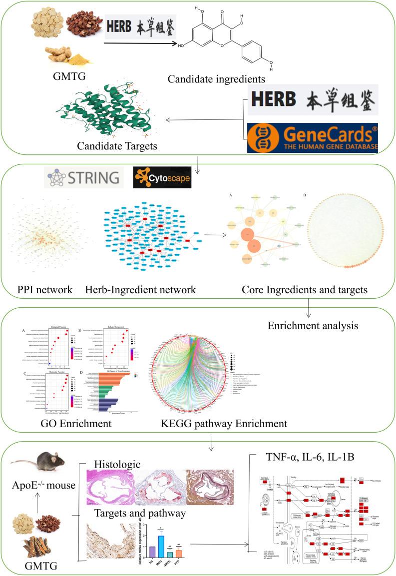 https://cdn.ncbi.nlm.nih.gov/pmc/blobs/833e/9489104/c15cdee2db26/DDDT-16-3145-g0001.jpg