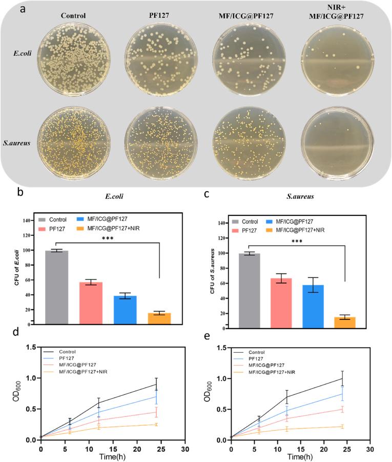 https://cdn.ncbi.nlm.nih.gov/pmc/blobs/833f/12318298/d5639d2a0b1a/gr4.jpg