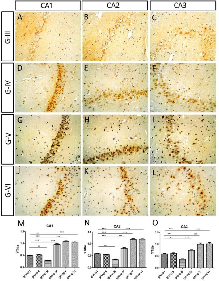 https://cdn.ncbi.nlm.nih.gov/pmc/blobs/833f/9551060/2ece789dabc3/41598_2022_20963_Fig10_HTML.jpg