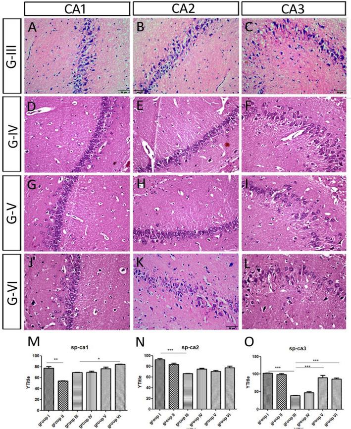 https://cdn.ncbi.nlm.nih.gov/pmc/blobs/833f/9551060/7ddb05b71798/41598_2022_20963_Fig5_HTML.jpg