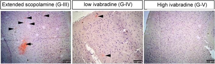 https://cdn.ncbi.nlm.nih.gov/pmc/blobs/833f/9551060/d07d90ba8930/41598_2022_20963_Fig7_HTML.jpg