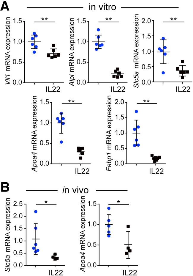 https://cdn.ncbi.nlm.nih.gov/pmc/blobs/8340/6352747/a7728145aa27/gr10.jpg
