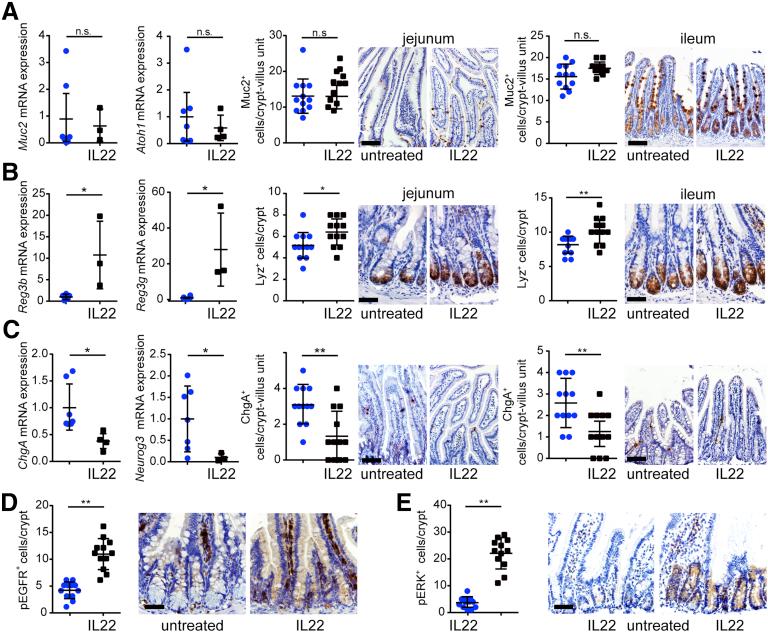 https://cdn.ncbi.nlm.nih.gov/pmc/blobs/8340/6352747/c0ee56b9a74d/gr12.jpg
