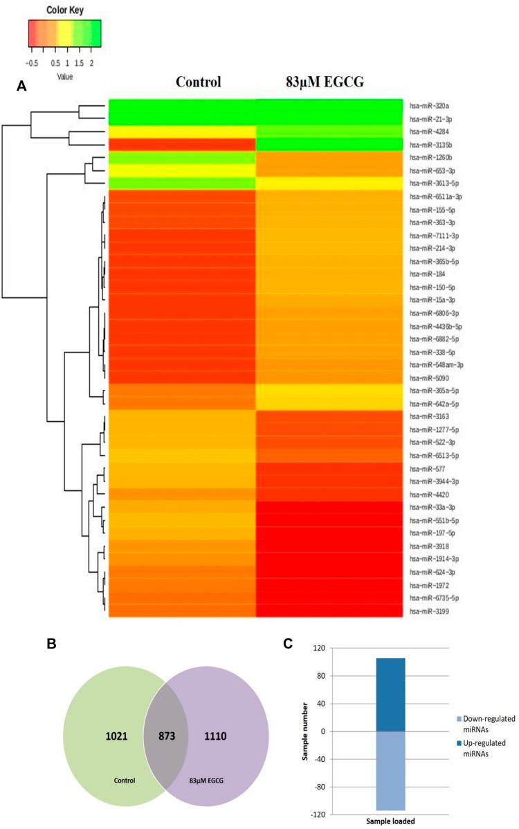 https://cdn.ncbi.nlm.nih.gov/pmc/blobs/8341/9582282/2f2aa34fce78/fgene-13-995046-g007.jpg