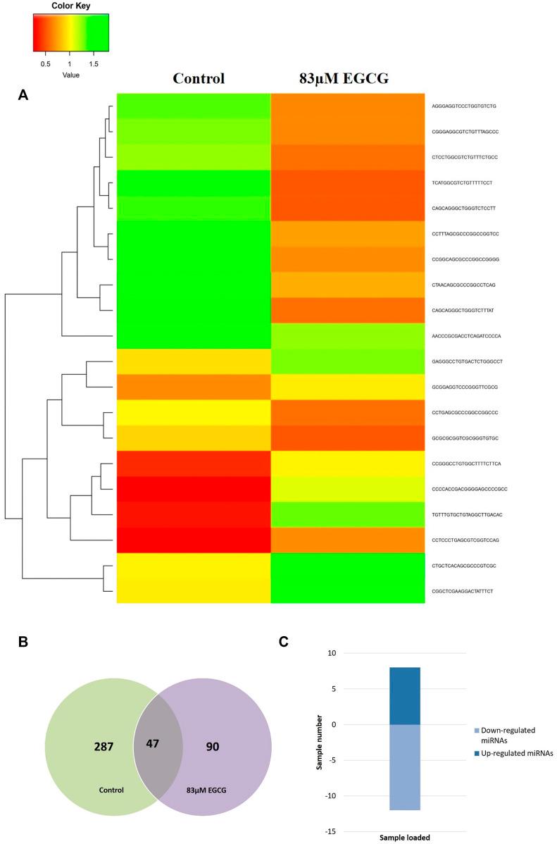 https://cdn.ncbi.nlm.nih.gov/pmc/blobs/8341/9582282/54b967fe9615/fgene-13-995046-g009.jpg