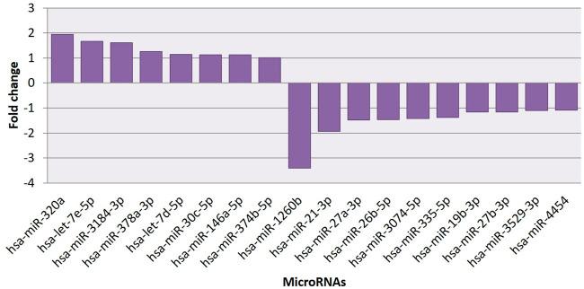 https://cdn.ncbi.nlm.nih.gov/pmc/blobs/8341/9582282/b71328a119b4/fgene-13-995046-g008.jpg