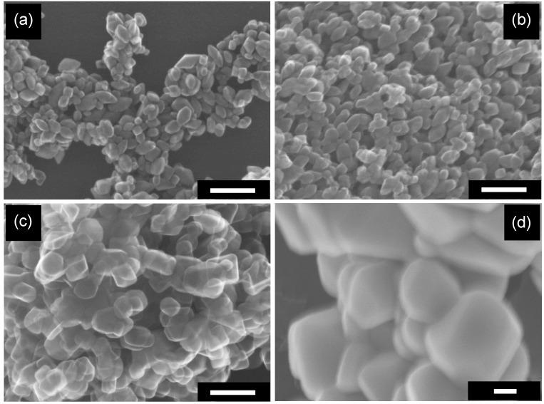 https://cdn.ncbi.nlm.nih.gov/pmc/blobs/8343/6271546/b57fce0ffd3f/molecules-19-19573-g004.jpg