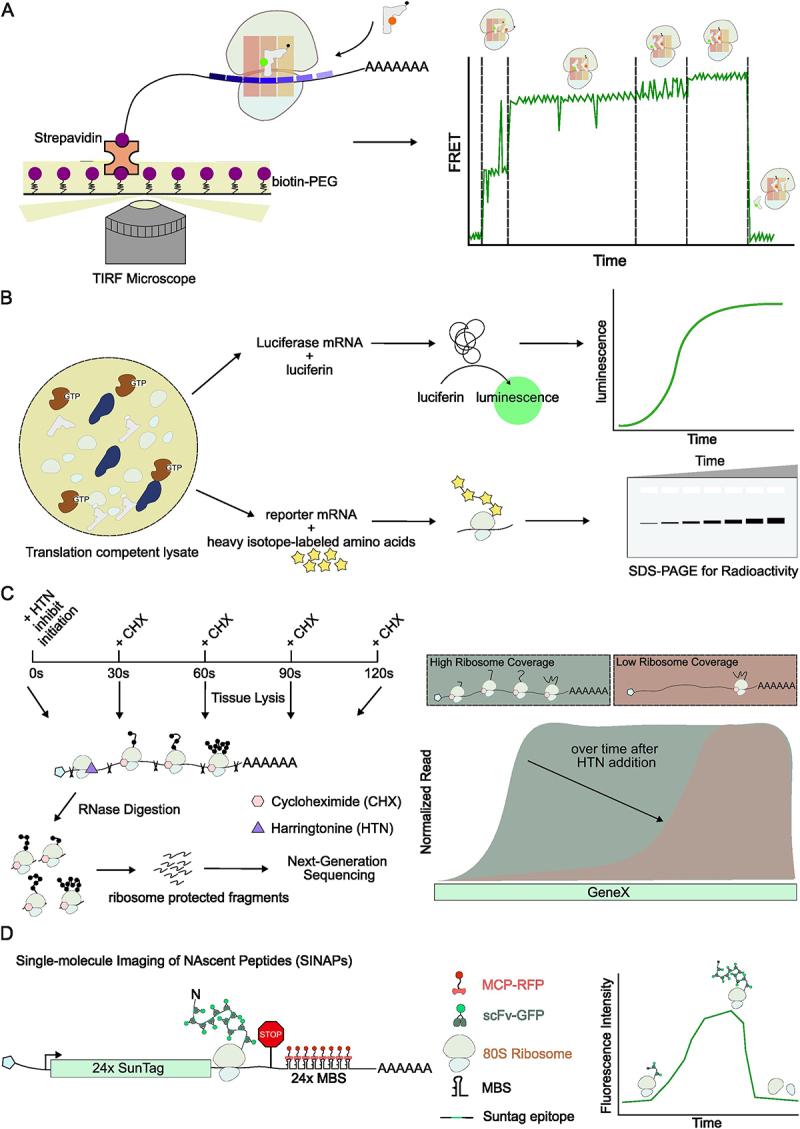 https://cdn.ncbi.nlm.nih.gov/pmc/blobs/8345/12087489/5498089de94a/KRNB_A_2504727_F0002_OC.jpg