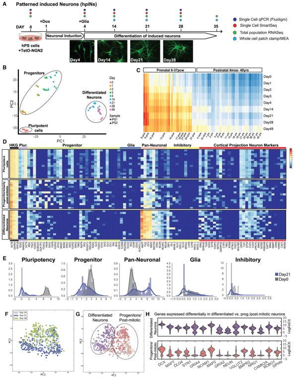 https://cdn.ncbi.nlm.nih.gov/pmc/blobs/8345/6003669/7bfa46f72121/nihms972486f1.jpg