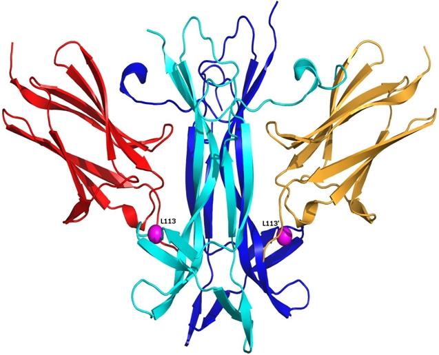 https://cdn.ncbi.nlm.nih.gov/pmc/blobs/8346/2927376/0c83fbd15da0/mv-v16-1640-f2.jpg