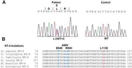 https://cdn.ncbi.nlm.nih.gov/pmc/blobs/8346/2927376/2f040680f253/mv-v16-1640-f1.jpg
