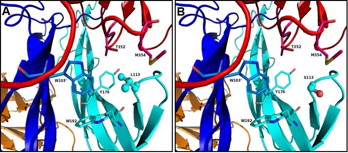 https://cdn.ncbi.nlm.nih.gov/pmc/blobs/8346/2927376/682aebc2a8de/mv-v16-1640-f3.jpg