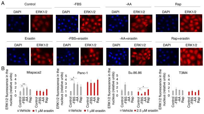 https://cdn.ncbi.nlm.nih.gov/pmc/blobs/8346/9106375/cf51223b9183/IJMM-49-06-05140-g01.jpg