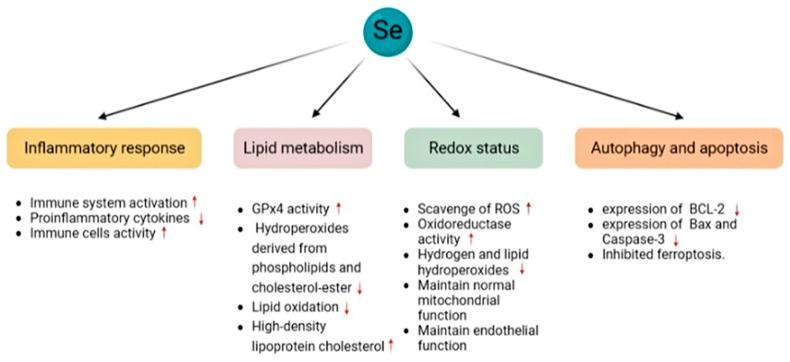 https://cdn.ncbi.nlm.nih.gov/pmc/blobs/8348/10216560/69a79048b1d2/biomolecules-13-00799-g004.jpg