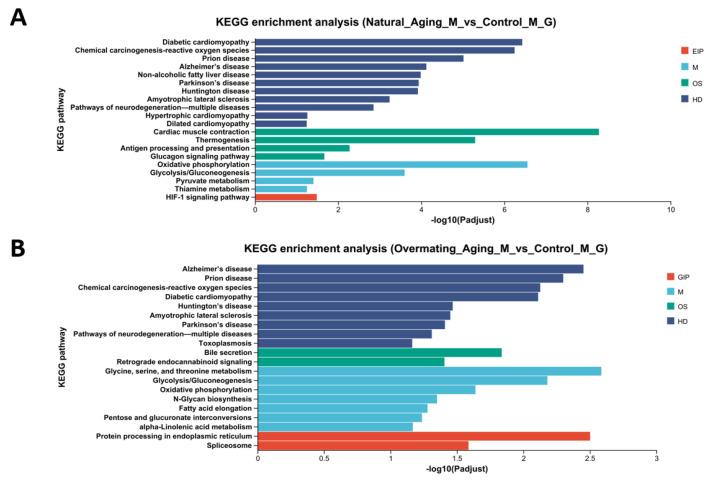 https://cdn.ncbi.nlm.nih.gov/pmc/blobs/8348/12027232/2ca5e85b0a62/ijms-26-03465-g002.jpg