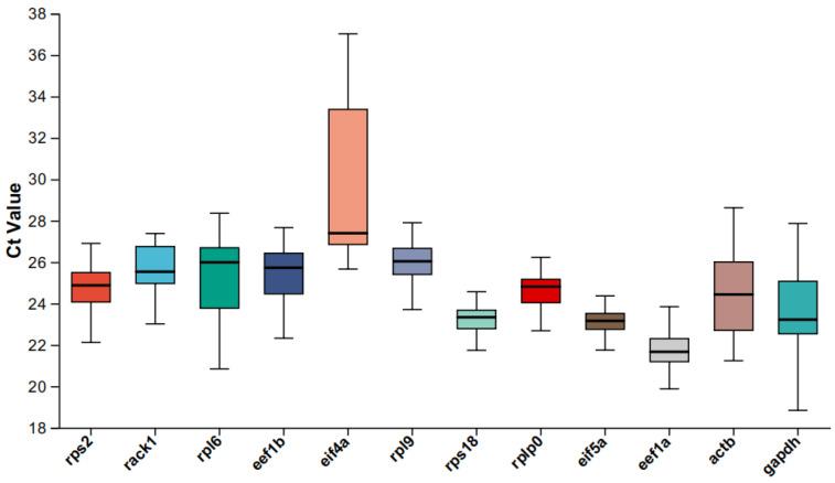 https://cdn.ncbi.nlm.nih.gov/pmc/blobs/8348/12027232/2e121cb5c9e2/ijms-26-03465-g006.jpg