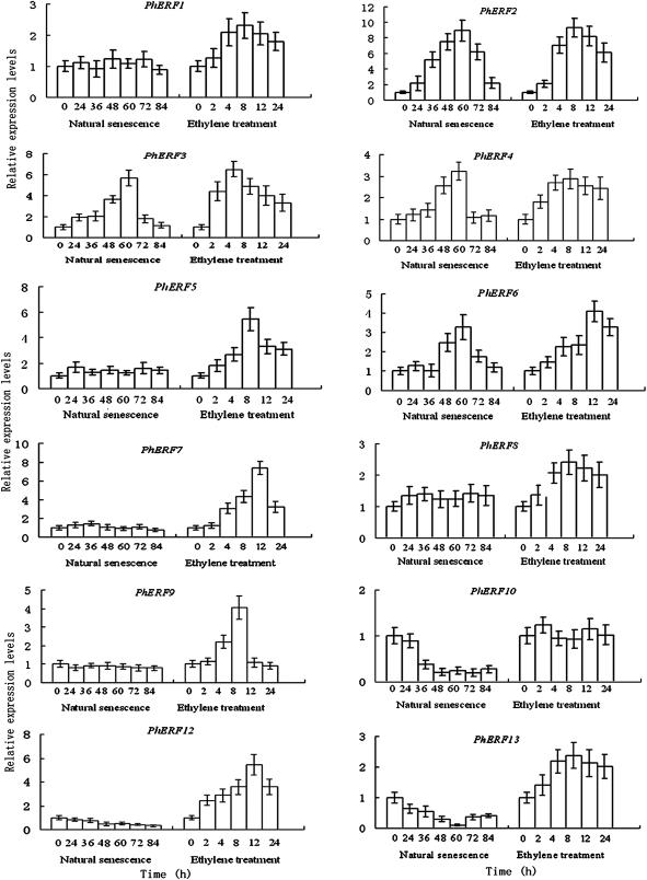 https://cdn.ncbi.nlm.nih.gov/pmc/blobs/8348/3003824/9305d237e9d6/jexboterq324f05_ht.jpg
