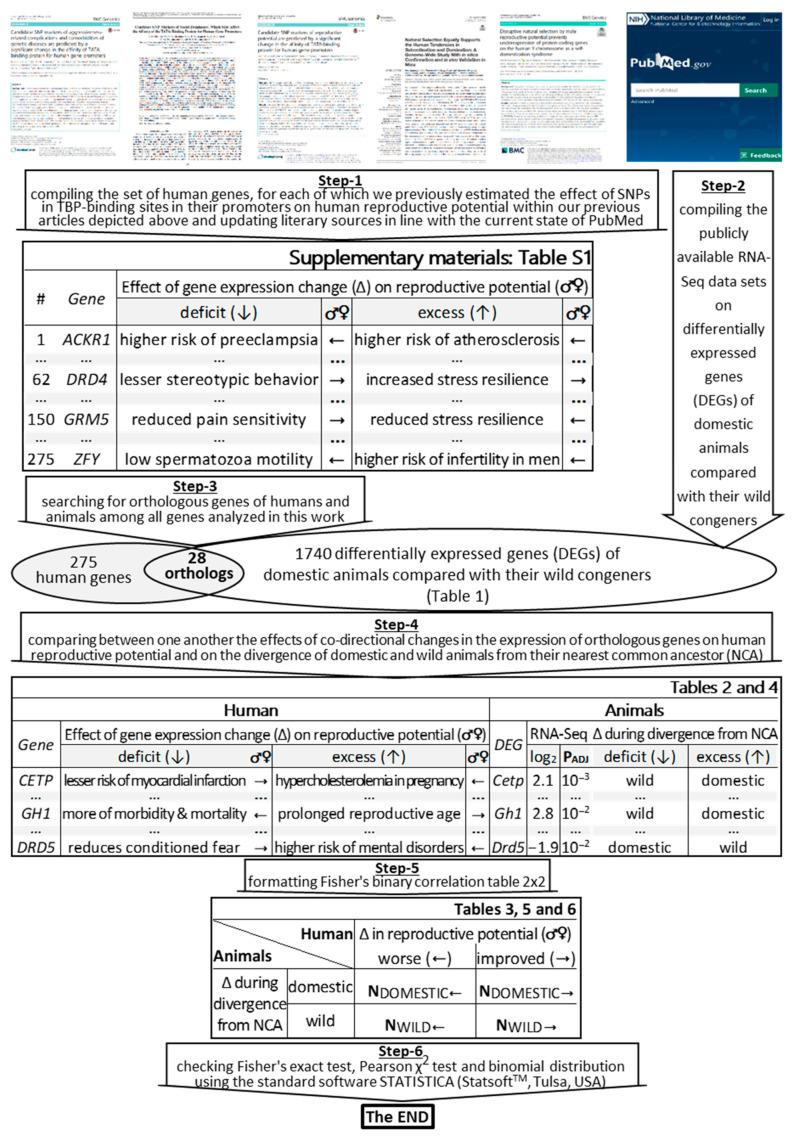 https://cdn.ncbi.nlm.nih.gov/pmc/blobs/8349/7956675/1bdbf3a047d4/ijms-22-02346-g001.jpg