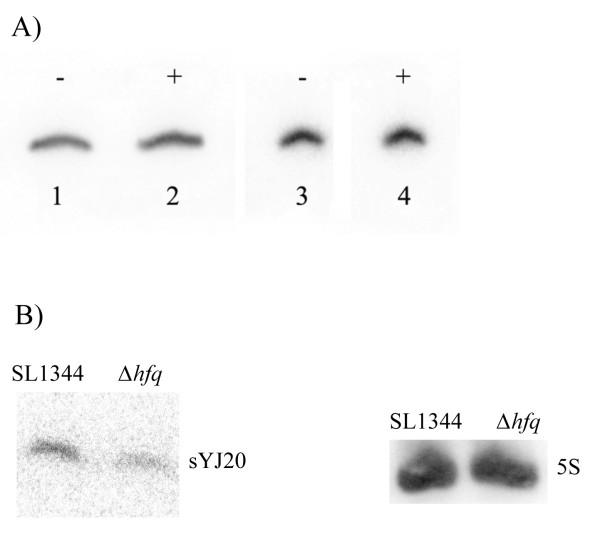 https://cdn.ncbi.nlm.nih.gov/pmc/blobs/834a/3511261/83945d3ff6d9/1471-2180-12-195-4.jpg