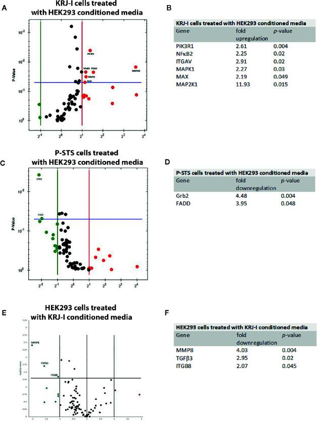 https://cdn.ncbi.nlm.nih.gov/pmc/blobs/834a/7943728/e1b9dfee3821/fonc-11-629665-g001.jpg