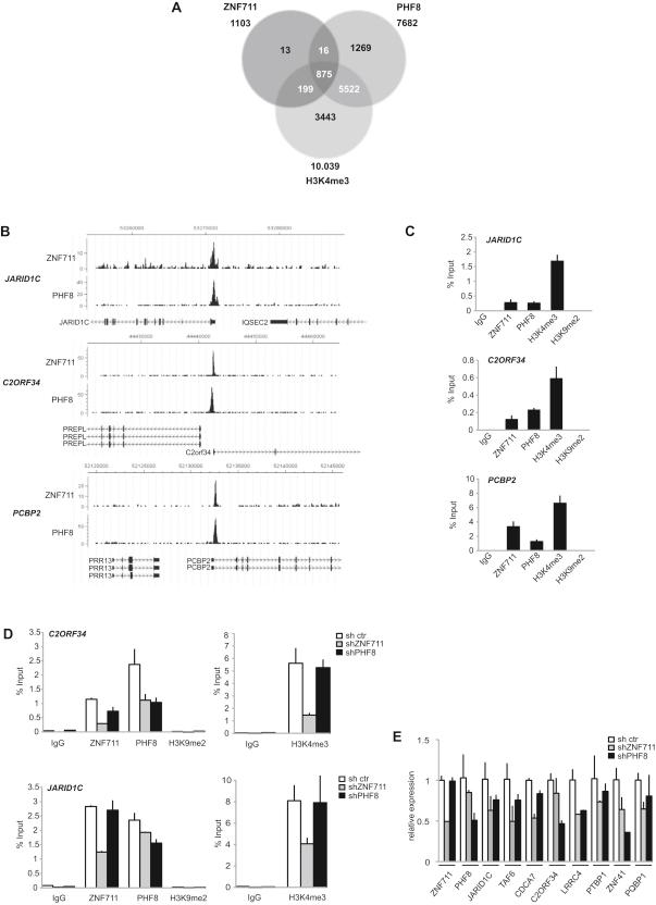 https://cdn.ncbi.nlm.nih.gov/pmc/blobs/834c/2989439/00ab74a98539/gr5.jpg