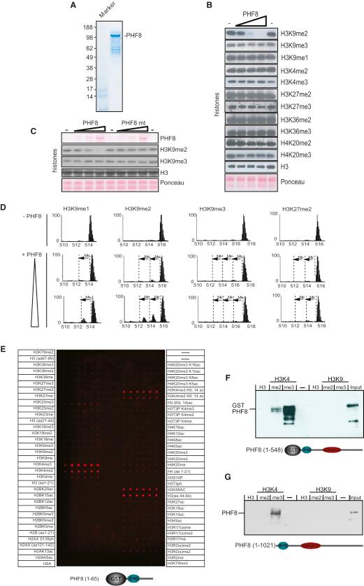 https://cdn.ncbi.nlm.nih.gov/pmc/blobs/834c/2989439/36b8957826d6/gr2.jpg