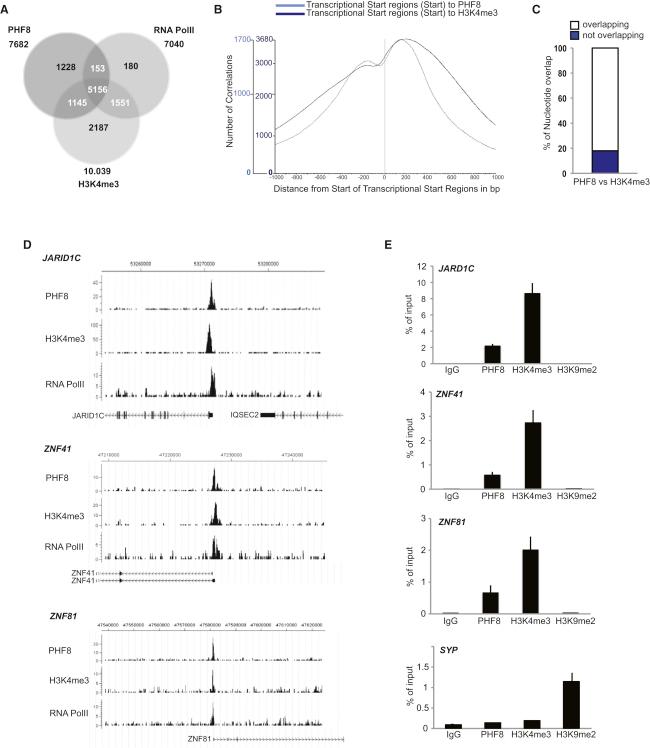 https://cdn.ncbi.nlm.nih.gov/pmc/blobs/834c/2989439/4b5332e07d48/gr3.jpg