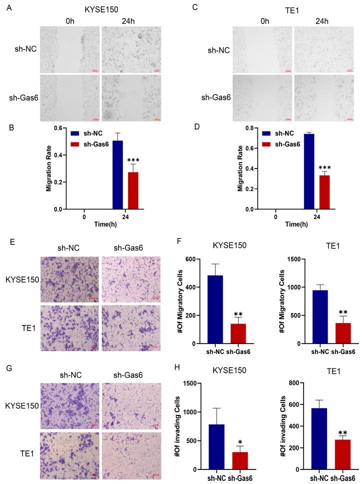 https://cdn.ncbi.nlm.nih.gov/pmc/blobs/834d/11506498/171ff5bf3606/cimb-46-00676-g004.jpg