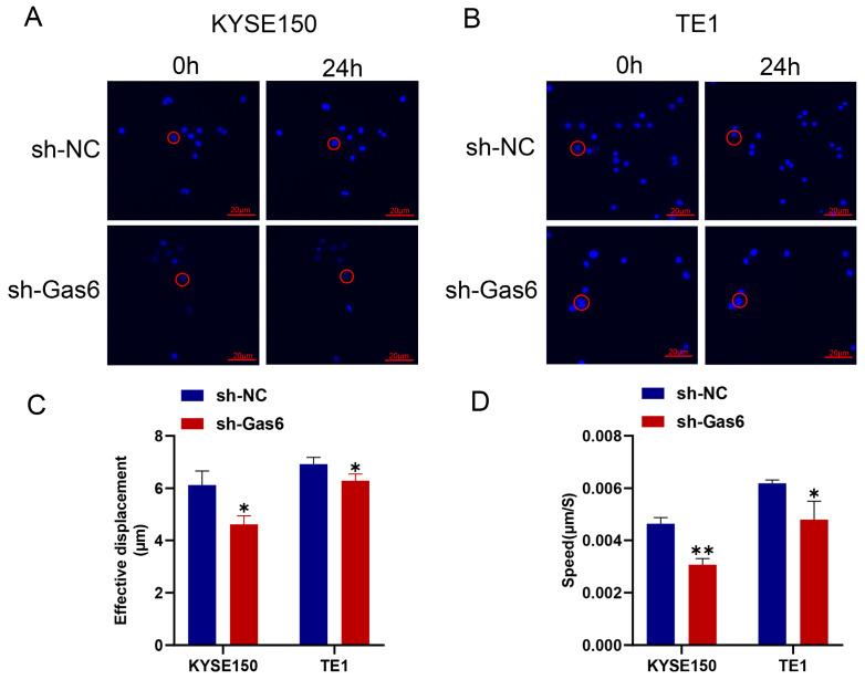 https://cdn.ncbi.nlm.nih.gov/pmc/blobs/834d/11506498/3b5444ecaef3/cimb-46-00676-g003.jpg