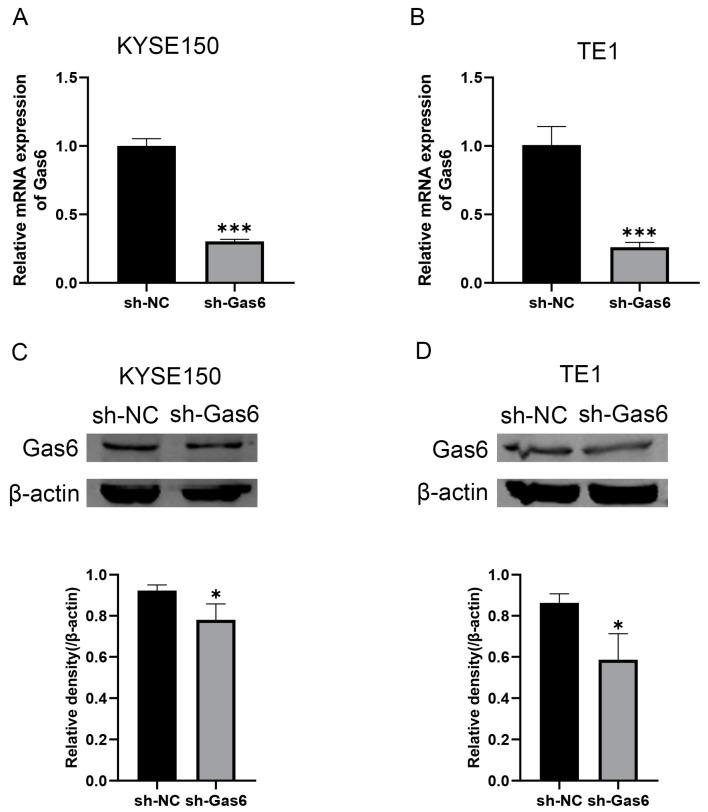 https://cdn.ncbi.nlm.nih.gov/pmc/blobs/834d/11506498/b36be3ca1caf/cimb-46-00676-g001.jpg