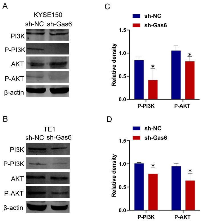 https://cdn.ncbi.nlm.nih.gov/pmc/blobs/834d/11506498/e6616faca73b/cimb-46-00676-g006.jpg