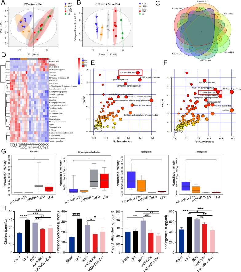 https://cdn.ncbi.nlm.nih.gov/pmc/blobs/834d/9878808/421ef3546f2d/12951_2023_1788_Fig7_HTML.jpg