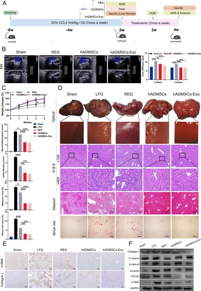 https://cdn.ncbi.nlm.nih.gov/pmc/blobs/834d/9878808/5f70b3b0818e/12951_2023_1788_Fig4_HTML.jpg