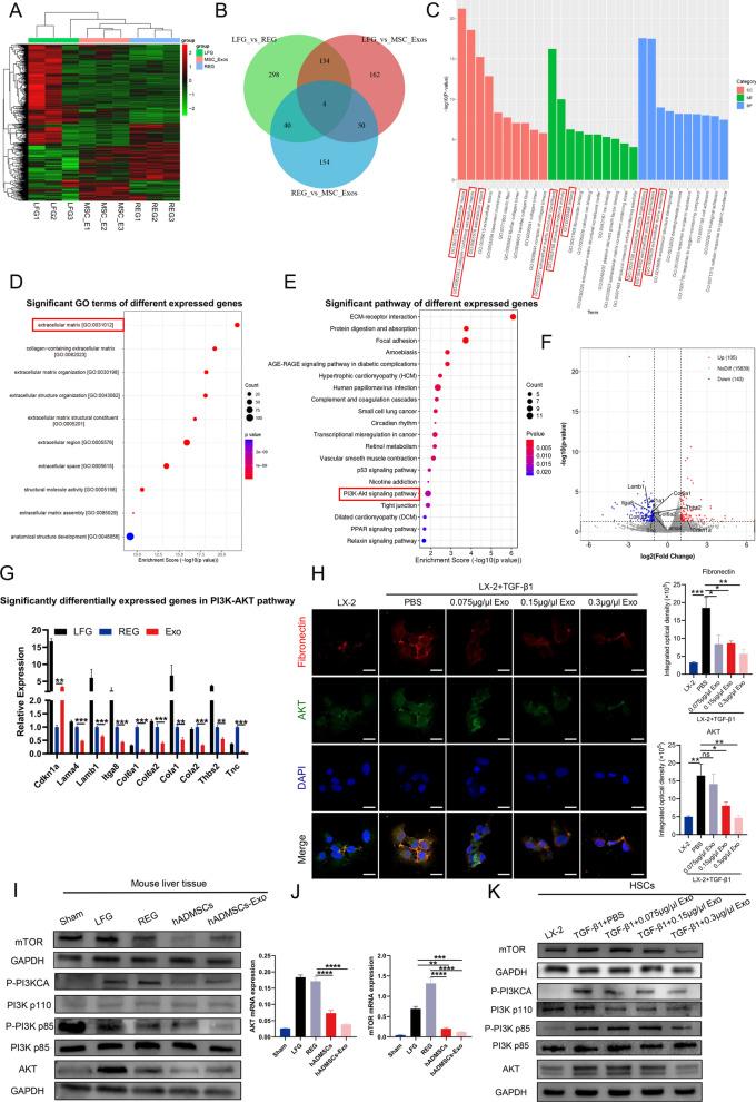 https://cdn.ncbi.nlm.nih.gov/pmc/blobs/834d/9878808/648e397c23e2/12951_2023_1788_Fig6_HTML.jpg