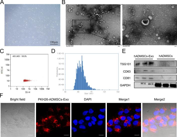 https://cdn.ncbi.nlm.nih.gov/pmc/blobs/834d/9878808/c178d78140c8/12951_2023_1788_Fig1_HTML.jpg