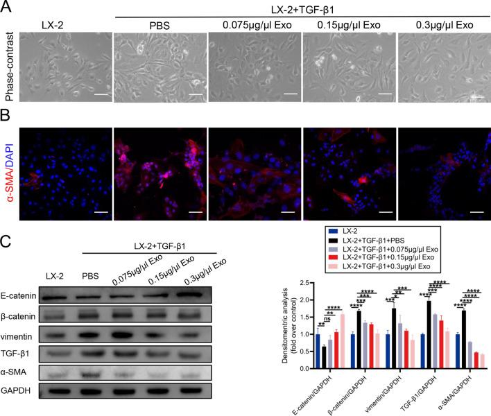 https://cdn.ncbi.nlm.nih.gov/pmc/blobs/834d/9878808/f13bdec3aa46/12951_2023_1788_Fig3_HTML.jpg