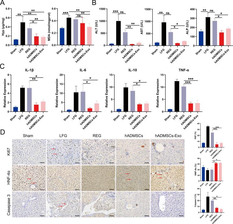 https://cdn.ncbi.nlm.nih.gov/pmc/blobs/834d/9878808/f4aa5ca44cc6/12951_2023_1788_Fig5_HTML.jpg