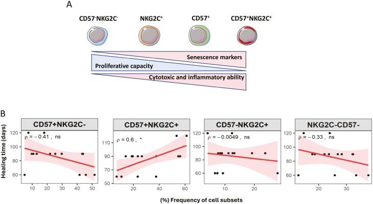 https://cdn.ncbi.nlm.nih.gov/pmc/blobs/834e/11310703/49932efd8005/uxae040_fig5.jpg