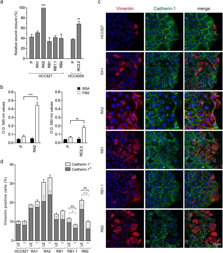 https://cdn.ncbi.nlm.nih.gov/pmc/blobs/834e/5732732/147c6dee6121/oncotarget-08-103340-g004.jpg