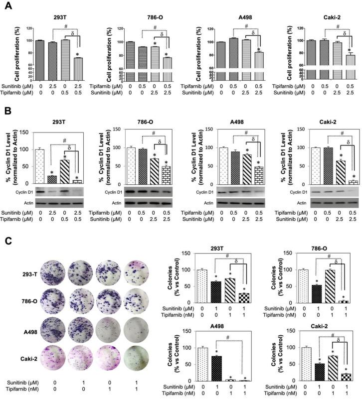 https://cdn.ncbi.nlm.nih.gov/pmc/blobs/834e/8870174/dcfdc5c5a0fc/cancers-14-00903-g005.jpg