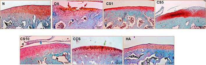 https://cdn.ncbi.nlm.nih.gov/pmc/blobs/834f/10992551/d4aaa61ba4dc/40643_2024_731_Fig5_HTML.jpg