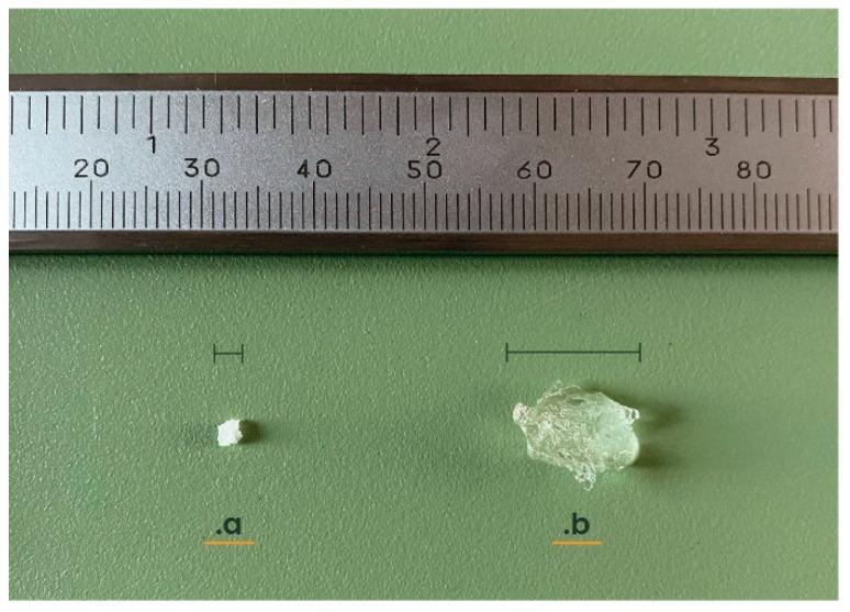 https://cdn.ncbi.nlm.nih.gov/pmc/blobs/8350/11358950/5fbf2f0a23c9/polymers-16-02337-g001.jpg