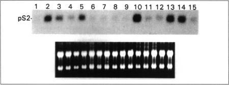 https://cdn.ncbi.nlm.nih.gov/pmc/blobs/8350/1569764/39caf752665e/envhper00394-0075-f.jpg