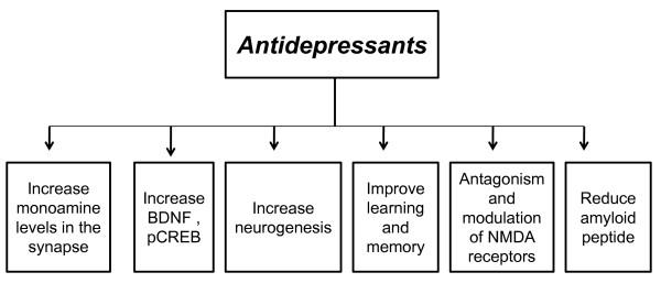 https://cdn.ncbi.nlm.nih.gov/pmc/blobs/8351/2845130/160e0c0c6b7d/1750-1326-5-10-2.jpg