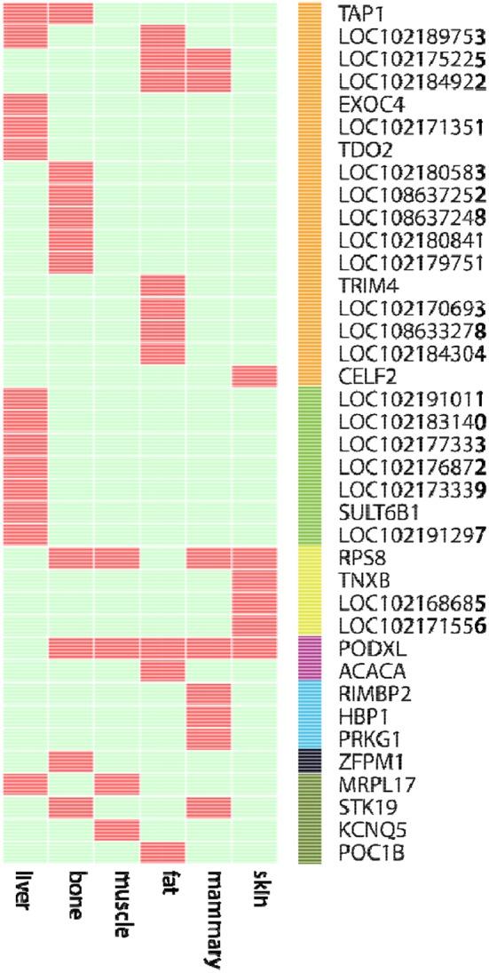 https://cdn.ncbi.nlm.nih.gov/pmc/blobs/8352/6411798/9eb2275a46d9/fgene-10-00145-g0003.jpg